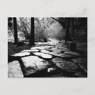 Rain-soaked paving stones postcard