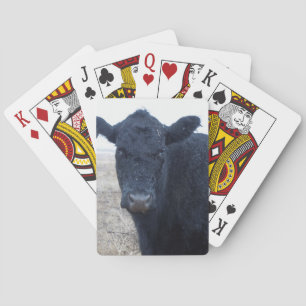 Rain-Soaked Wet Polled Cow Face Cattle Western Poker Cards