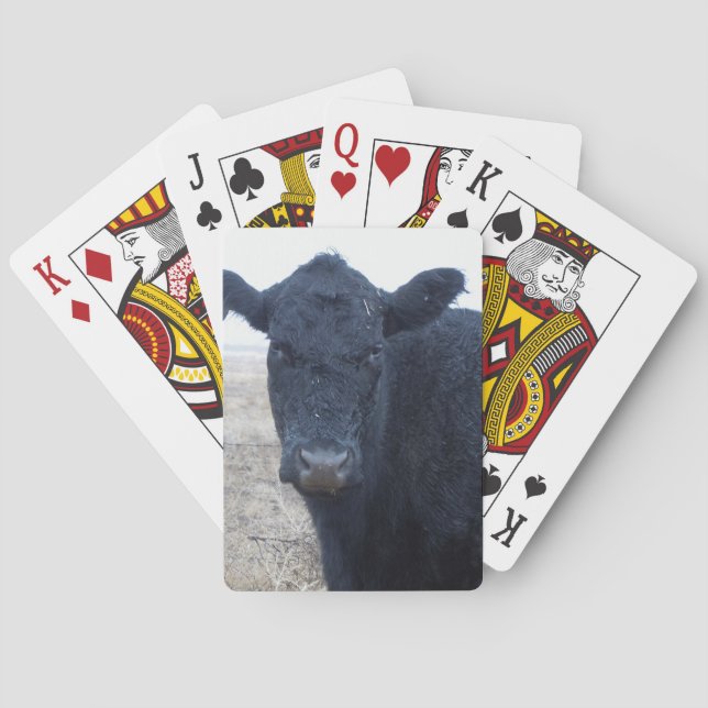 Rain-Soaked Wet Polled Cow Face Cattle Western Poker Cards (Back)