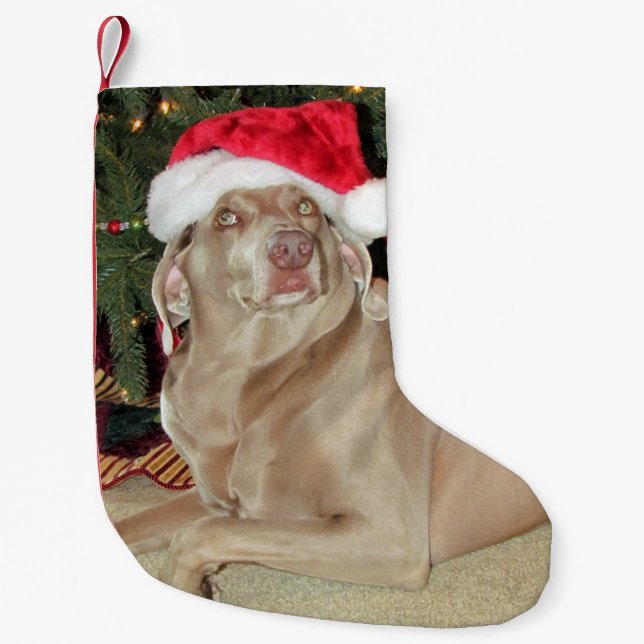 Rain The Cute Weimaraner Dog Christmas Stocking (Front)
