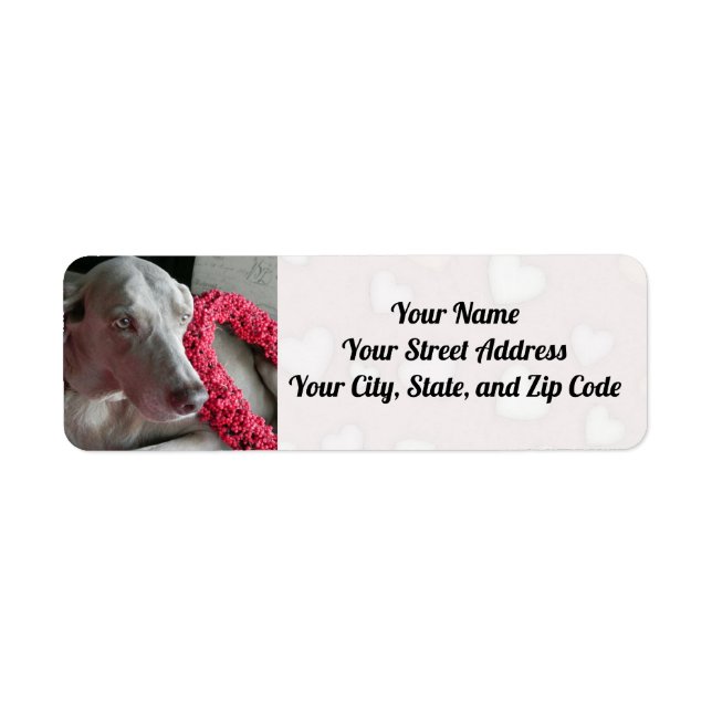 Rain the Weimaraner Dog's Hearts To You Label (Front)