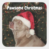 Weimaraner Dog Christmas Hat Present' Sticker