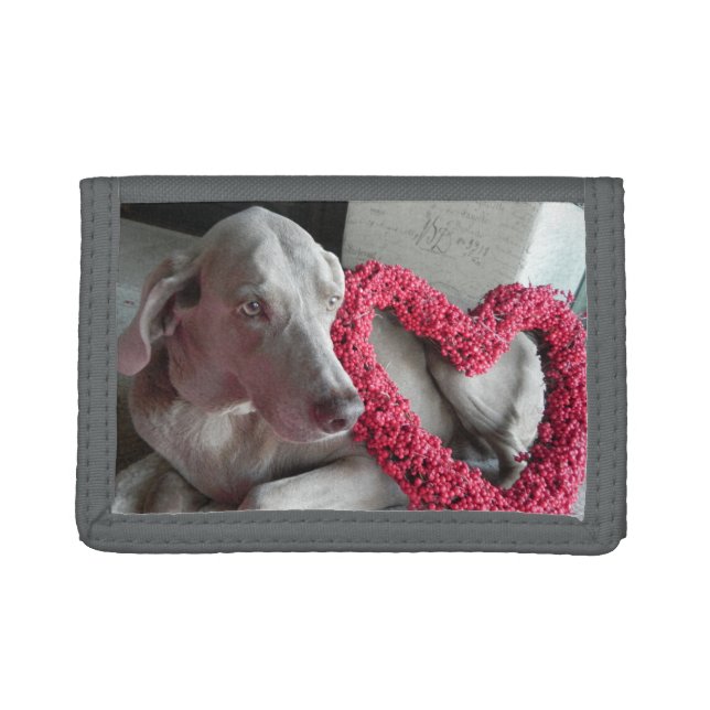 Rain the Weimaraner Trifold Wallet (Front)