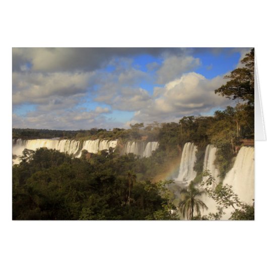 Rainbow (Front Horizontal)