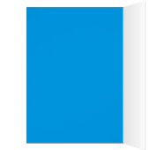 RAINBOW (Inside (Left))