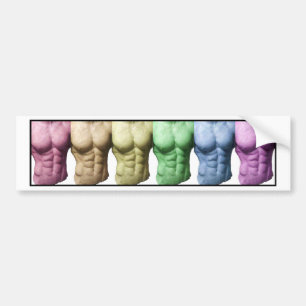 Rainbow Abs Bumper Sticker