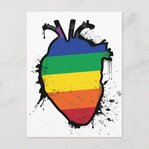 rainbow anatomical heart postcard