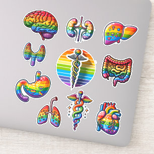 Rainbow Anatomy Sticker