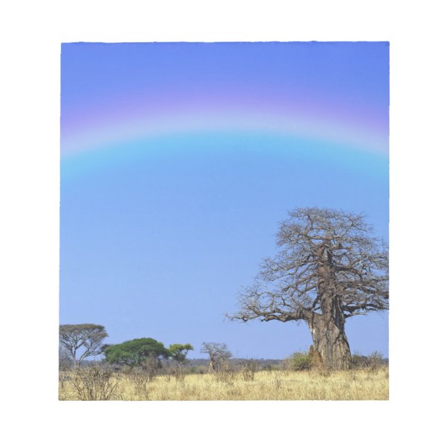 Rainbow and African baobab tree, Adansonia Notepad (Front)
