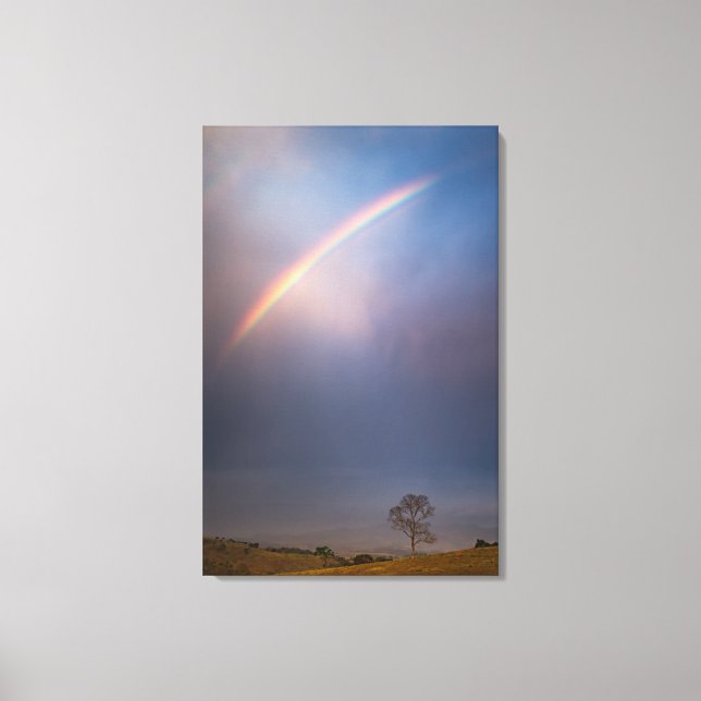 Rainbow And Tree Landscape Canvas Print (Front)