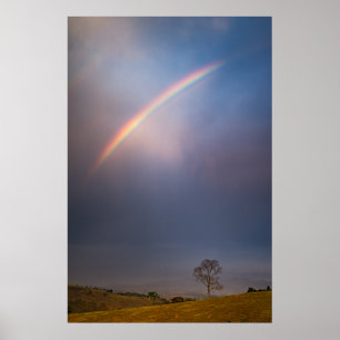 Rainbow And Tree Landscape Poster