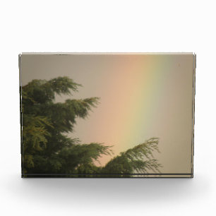 Rainbow and Trees Acrylic Photo Block