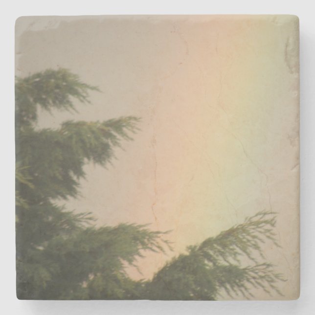 Rainbow and Trees Coasters (Front)