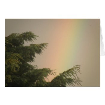 Rainbow And Trees Greeting Card by Fallen_Angel_483 at Zazzle