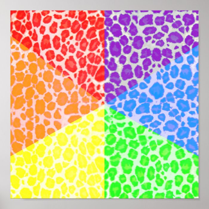 Rainbow Angles Leopard Pattern Print