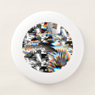 Rainbow Assault Wham-O Frisbee