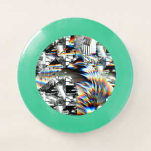Rainbow Assault  Wham-O Frisbee