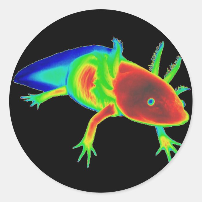 Rainbow Axolotl Stickers