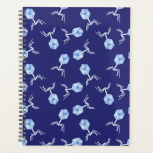 Rainbow Bacteriophages Planner