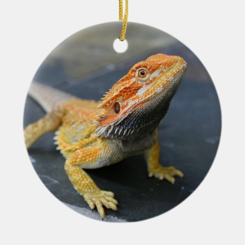 Rainbow Bearded Dragon Ceramic Ornament