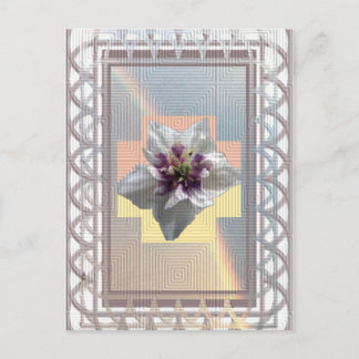 RAINBOW BEAUTY POSTCARD