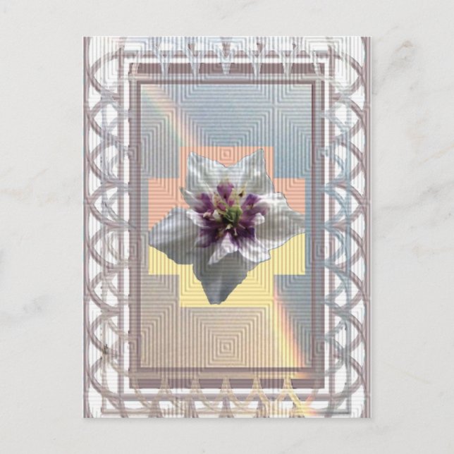 RAINBOW BEAUTY POSTCARD (Front)