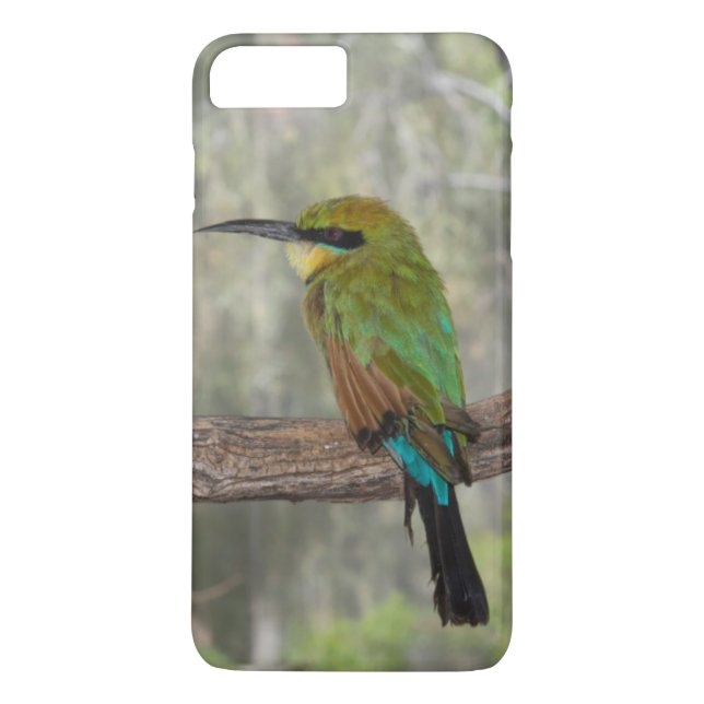 Rainbow bee-eater bird, Australia Case-Mate iPhone Case (Back)