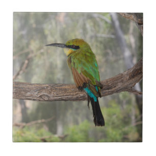 Rainbow bee-eater bird, Australia Ceramic Tile