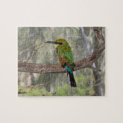 Rainbow bee_eater bird Australia Jigsaw Puzzle