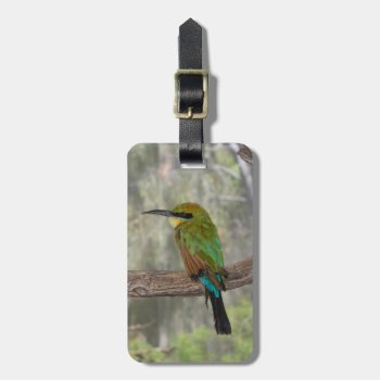 Rainbow Bee-eater Bird  Australia Luggage Tag by theworldofanimals at Zazzle