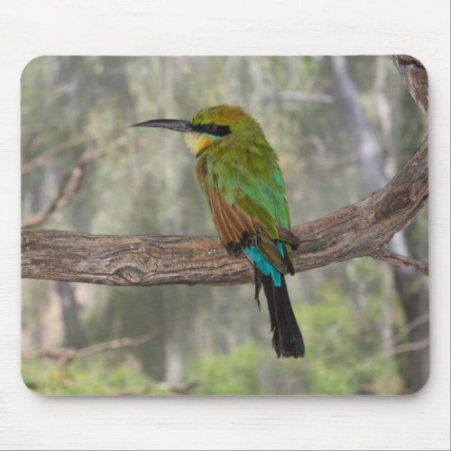 Rainbow bee_eater bird Australia Mouse Pad