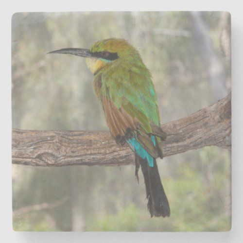 Rainbow bee_eater bird Australia Stone Coaster