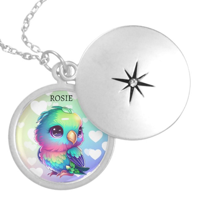 Rainbow bird & hearts   locket necklace (Front)