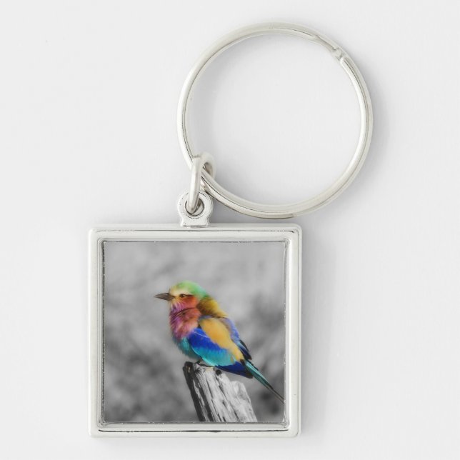 Rainbow Bird Keychain (Front)