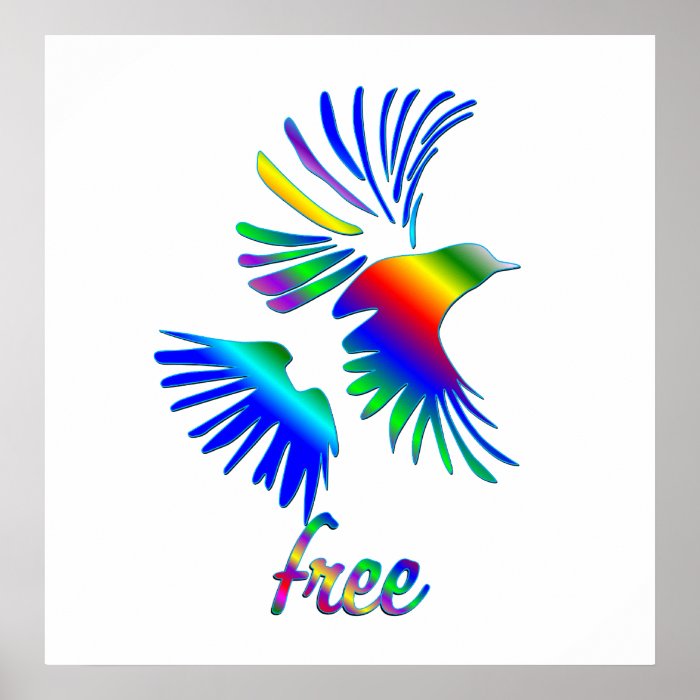 Rainbow Bird Poster