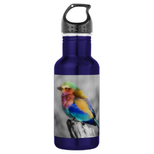 Rainbow Bird Water Bottle