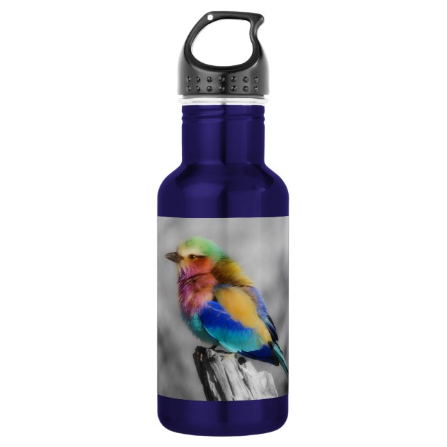 Rainbow Bird Water Bottle (Front)