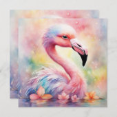 Rainbow Birds Flamingo 1 (Front/Back)
