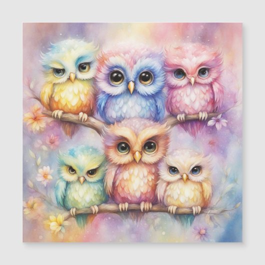 Rainbow Birds Owls 3 (Front)