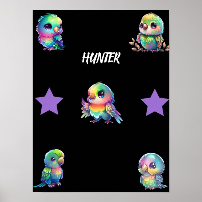 Rainbow Bird's & Stars Personalized Poster (Front)