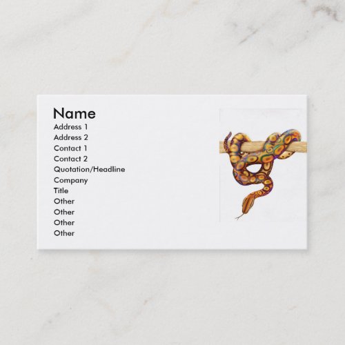 Rainbow Boa Snake Profile Card Business Card