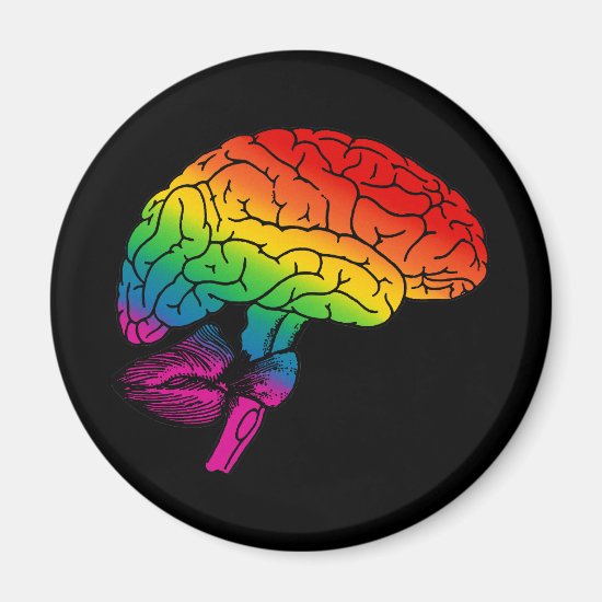 Rainbow Brain Magnet