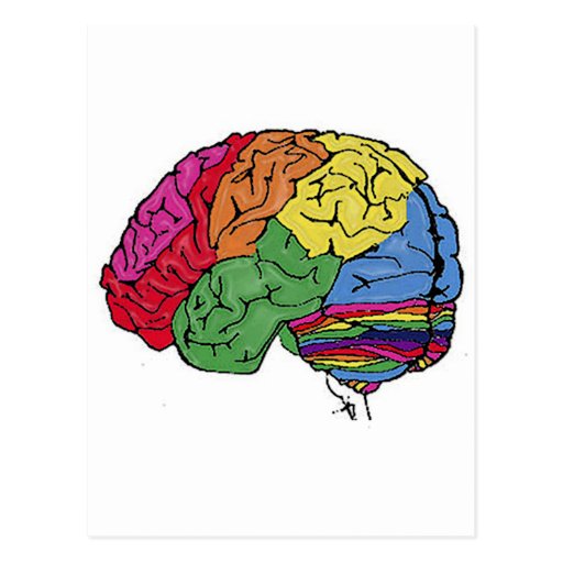 Rainbow Brain Postcard | Zazzle