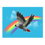 Rainbow Bridge African Grey Parrot Postcard