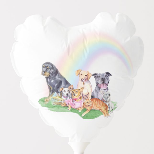 Rainbow Bridge Balloon - Pet Loss - Sympathy Gift (Front)
