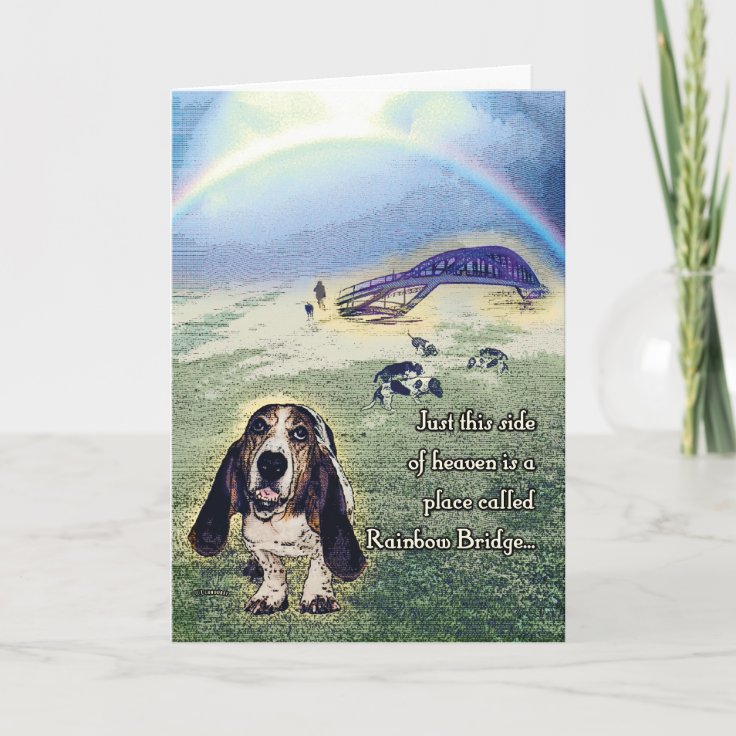 Rainbow Bridge card | Zazzle