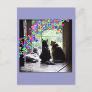 Rainbow Bridge cat condolence postcard