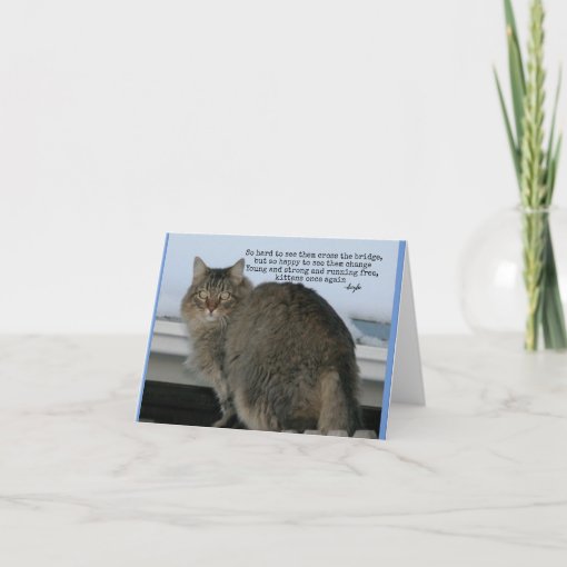 Rainbow Bridge - Cats Poem sympathy Card | Zazzle