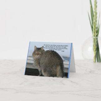 Rainbow Bridge - Cats Poem sympathy Card