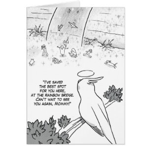 Rainbow bridge cockatiel parrot cards